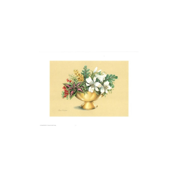 Image 3D - astro 517 - 24x30 - coupe dorée fleurs blanches - Photo n°1