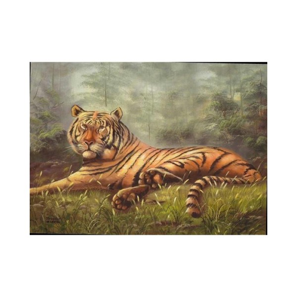 Image 3D - 9207165 - 24x30 - tigre couche - Photo n°1