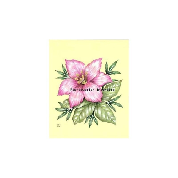 Image 3D - astro 596 - 24x30 - fleur rose - Photo n°1