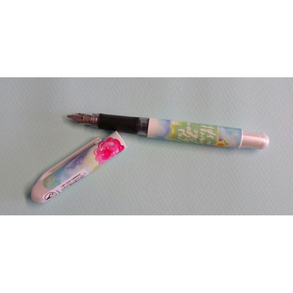 Stylo plume calligraphie 1.4mm - Photo n°1