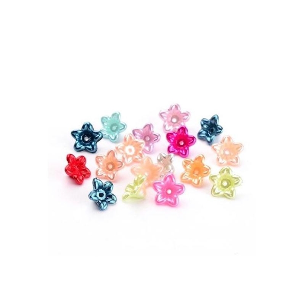 30 Bijoux Perles Acrylique Dépolie Fleur mixte brillant - Photo n°1