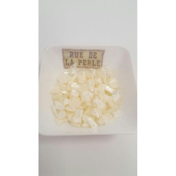 30g Chips de nacre crème , percées - perles - Photo n°1