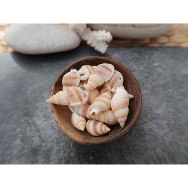 Perles coquillage percés, Perles coquillages naturels, 25 à 19 mm, 10 pcs - Photo n°2