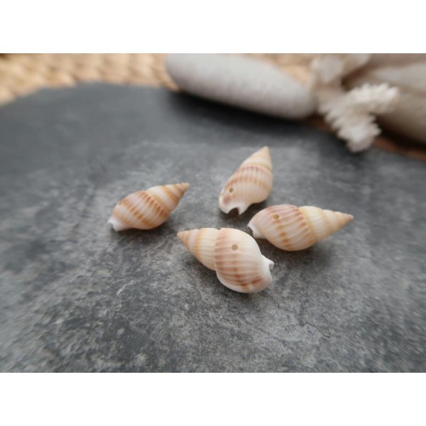 Perles coquillage percés, Perles coquillages naturels, 25 à 19 mm, 10 pcs - Photo n°3