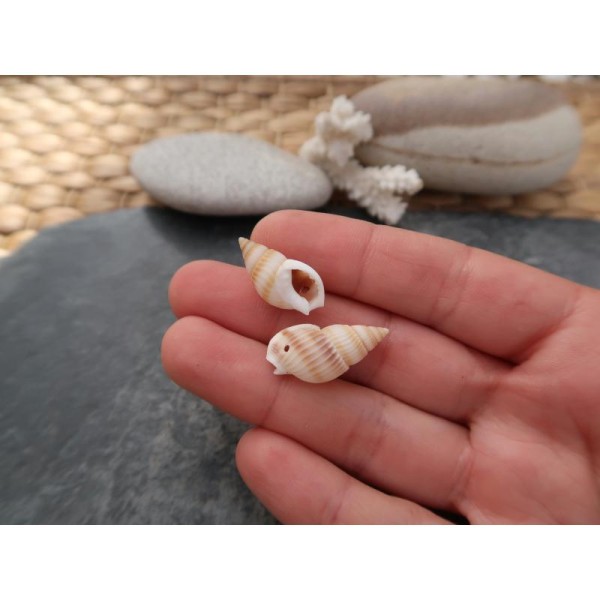 Perles coquillage percés, Perles coquillages naturels, 25 à 19 mm, 10 pcs - Photo n°4