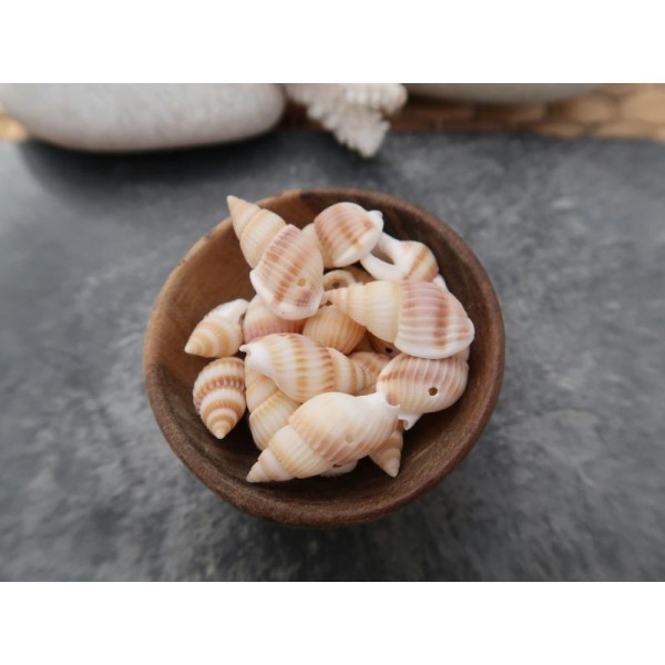 Perles coquillage percés, Perles coquillages naturels, 25 à 19 mm, 10 pcs - Photo n°1