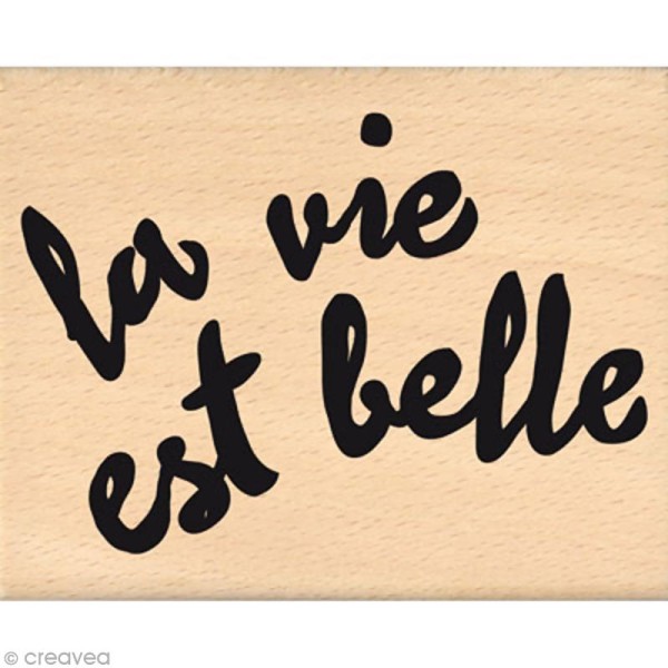 Tampon Histoire de style - Belle vie brush - 8 x 10 cm - Photo n°1