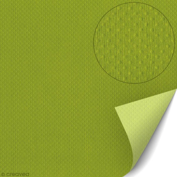 Papier scrapbooking Bazzill 30 x 30 cm - TSC - Prickly pear (vert) - Photo n°1