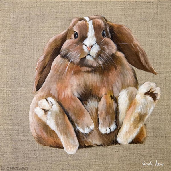 Image 3D Animaux - Lapin assis - 30 x 30 cm - Photo n°1