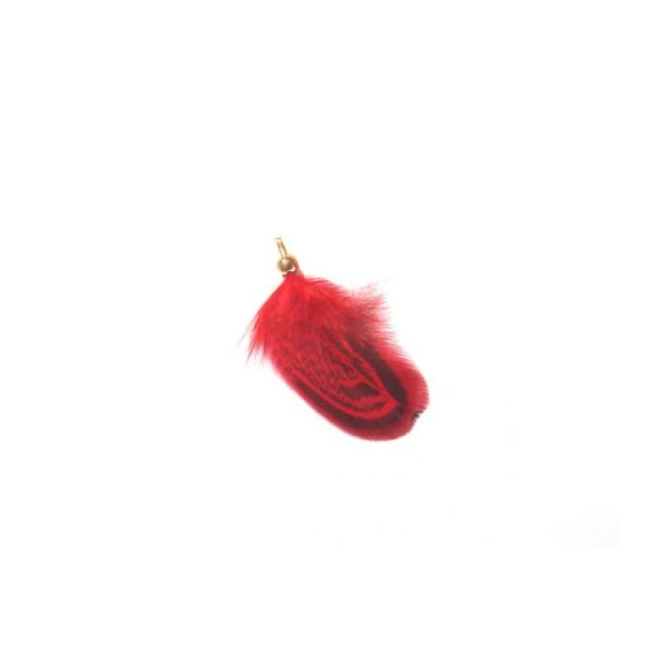Faisan teinté rouge : Pendentif 43 MM environ de hauteur - Photo n°1
