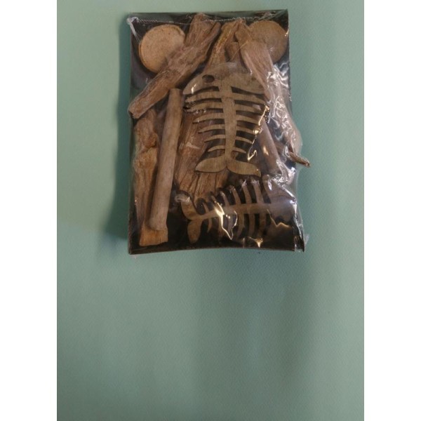 Squelette de poisson avec bois flotté - Photo n°1