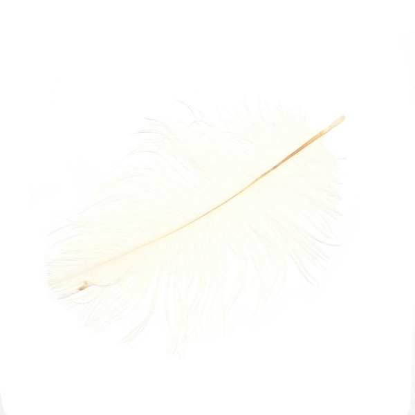 Plume d'autruche ± 15-20 cm blanc - Photo n°1