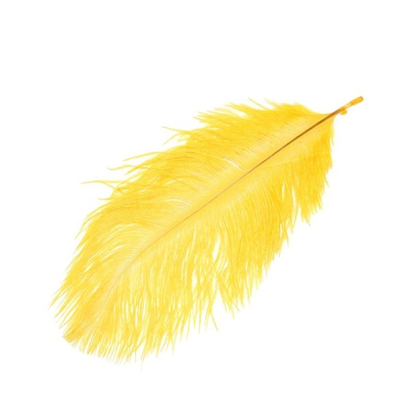Plume d'autruche ± 15-20 cm jaune - Photo n°1