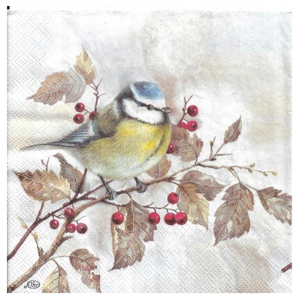 4 vintage table serviettes en papier pour découpage déjeuner Craft oiseaux jardin Serviette I22