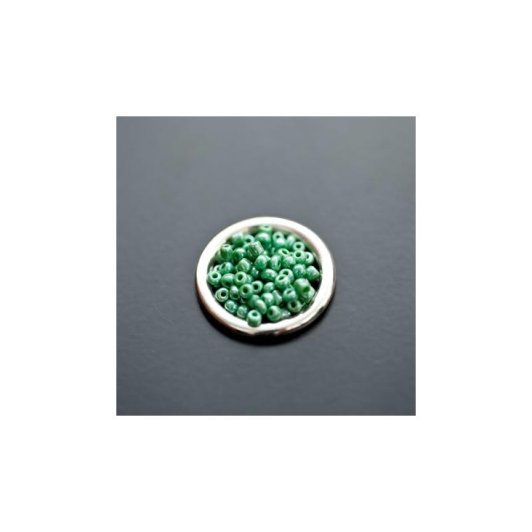 Perle de Rocaille 2mm Verre Vert Océan Nacré x 174pcs - Photo n°1