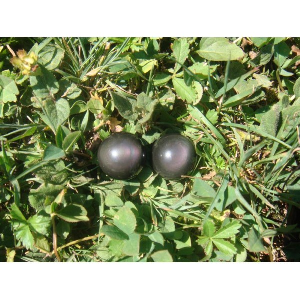 Obsidienne Oeil Céleste : 2 Perles 16 mm de diamètre ( D57 ) - Photo n°1