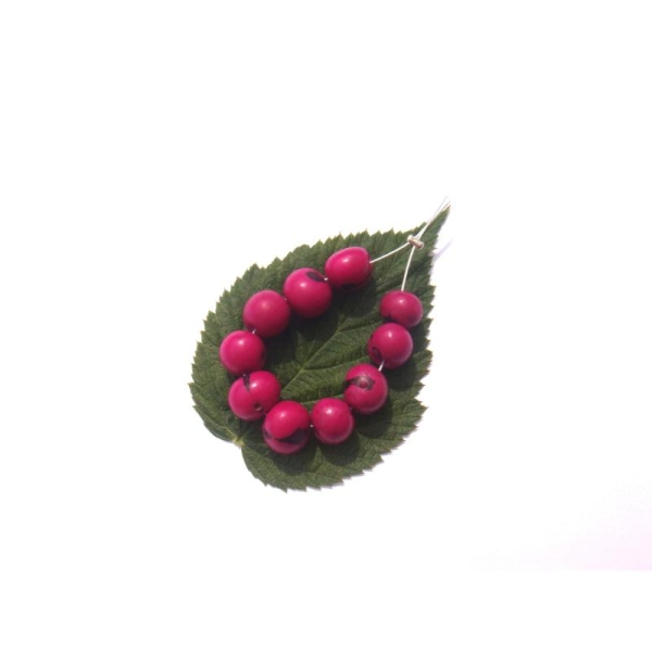 Açai Brésil teinté Fuchsia : 10 Perles Graines irrégulières 6/9 MM de diamètre - Photo n°1