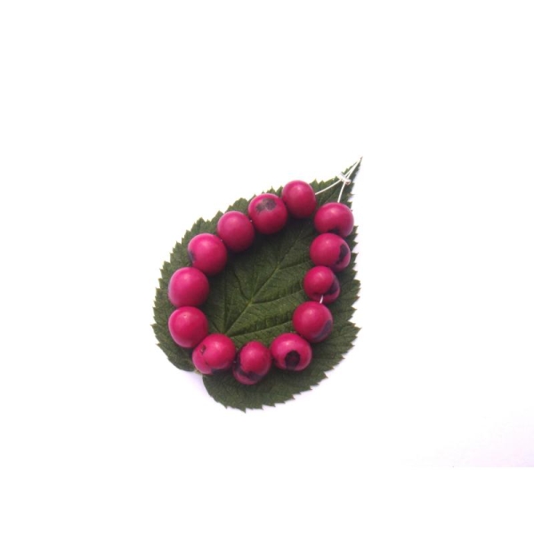 Açai Brésil teinté Fuchsia : 13 Perles Graines irrégulières 7/9 MM de diamètre - Photo n°1