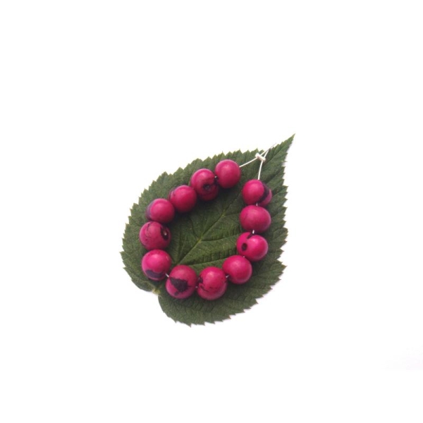 Açai Brésil teinté Fuchsia : 12 Perles Graines irrégulières 7/8 MM de diamètre - Photo n°1