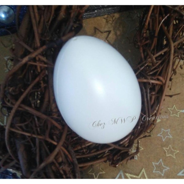 Oeuf De Pigeon En Plastique Blanc À Décorer Lot de 4- 60x45 mm - Photo n°1