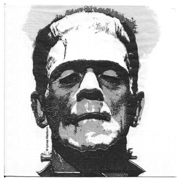 4 Serviettes en papier Frankenstein Halloween Format Lunch - Photo n°1