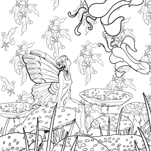 Livre coloriage adulte anti-stress - Forêts féeriques - A4 - 100 coloriages - Photo n°3