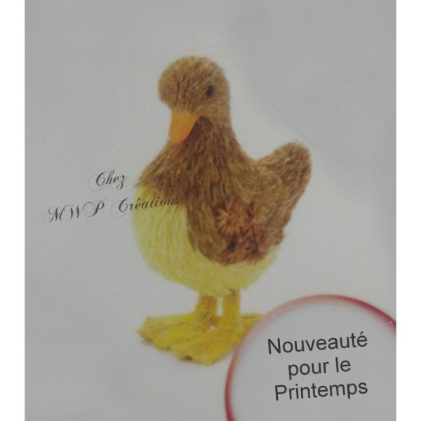 Canard En Paille - Photo n°1