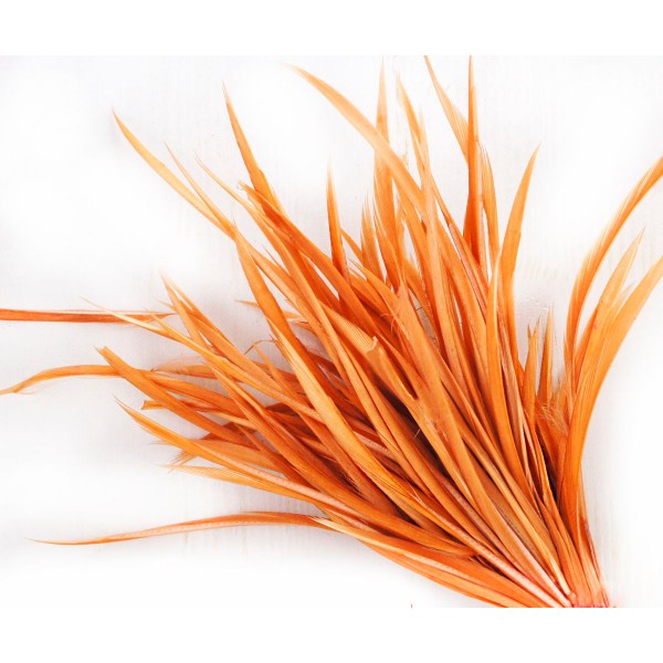 12pcs Rouge Orange Teint Dépouillé Coq de Longues Plumes Fines Extensions de Cheveux, Boucles d'orei - Photo n°1