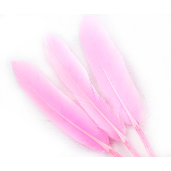6pcs Rose Teint les Plumes d'Oie Pendentif Boucles d'oreilles Bijoux de Costume Dreamcatcher 10-15cm - Photo n°1
