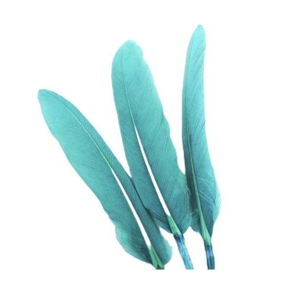 6pcs Turquoise Aqua Vert Teint les Plumes d'Oie Pendentif Boucles d'oreilles Bijoux de Costume Dream - Photo n°1