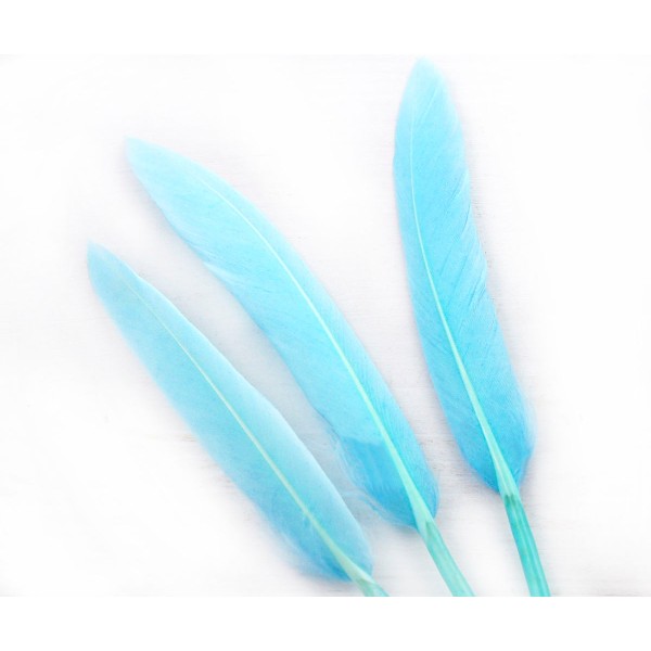 6pcs Bleu Turquoise Teint les Plumes d'Oie Pendentif Boucles d'oreilles Bijoux de Costume Dreamcatch - Photo n°1