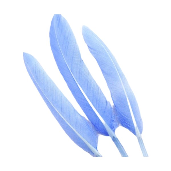 6pcs Teints en Bleu, Plumes d'Oie Pendentif Boucles d'oreilles Bijoux de Costume Dreamcatcher 10-15c - Photo n°1