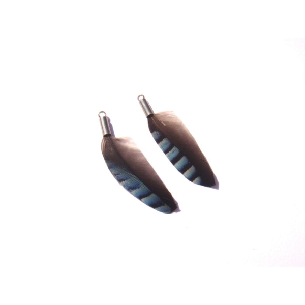 Geai Bleu : Pendentifs plumes 3,7 CM de hauteur x,1 CM de largeur max - Photo n°1