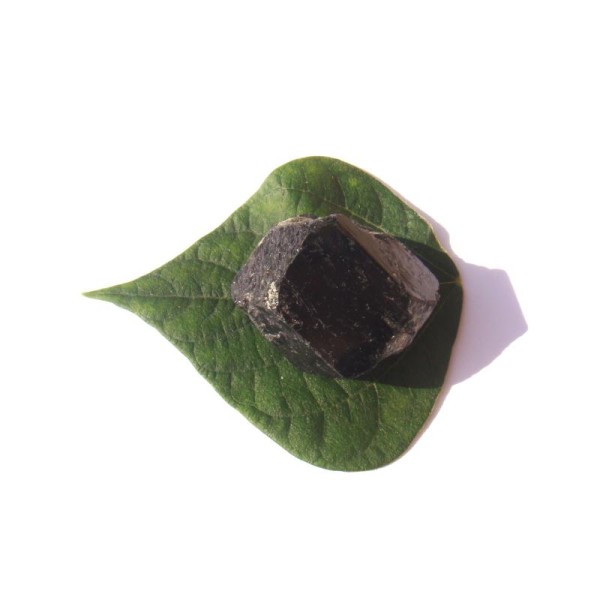 Pierre brute Tourmaline Noire du Brésil 3.3 CM x 3 CM de diamètre max (C) - Photo n°3