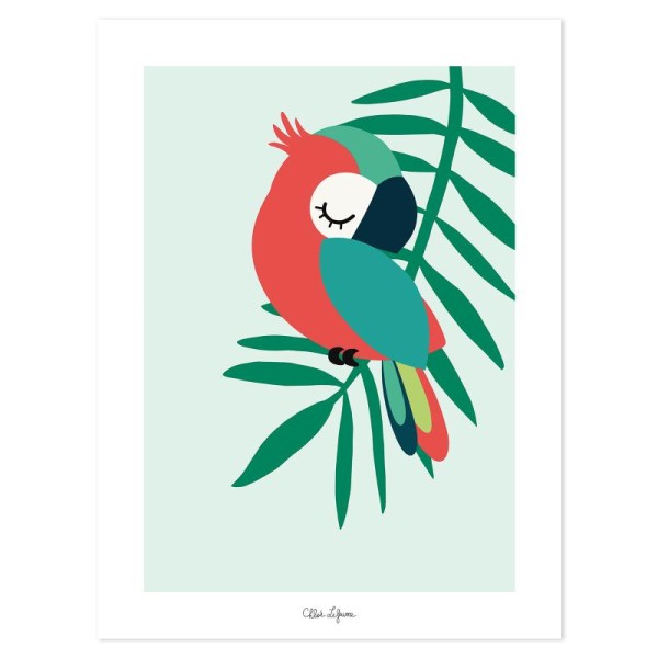 Affiche tropica perroquet vert - Photo n°1