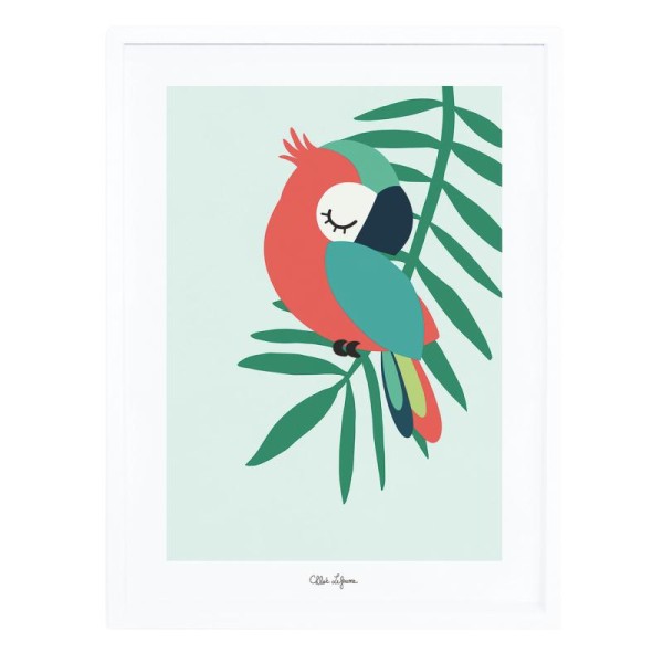 Affiche avec cadre tropica perroquet vert - Photo n°1