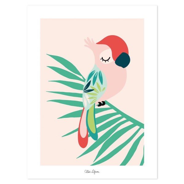 Affiche tropica perroquet rose - Photo n°1