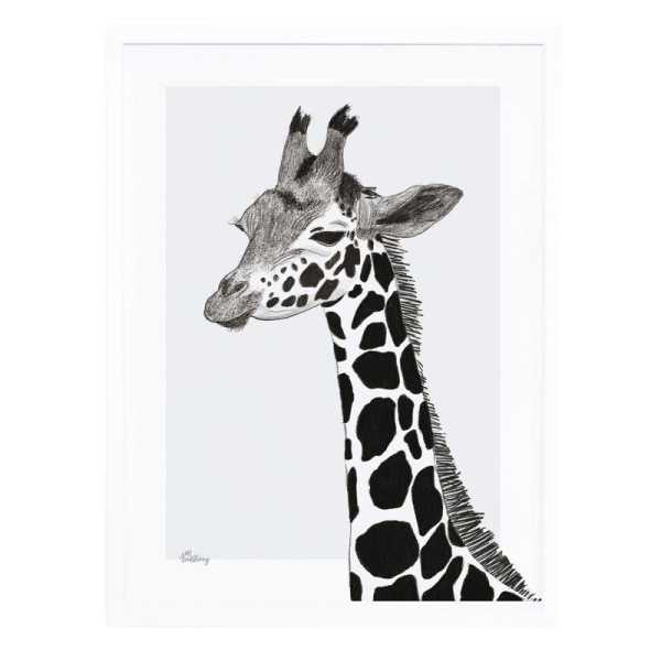 Affiche avec cadre serengeti : la girafe - Photo n°1