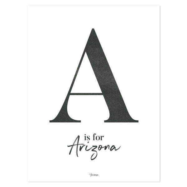 Affiche a for arizona - Photo n°1