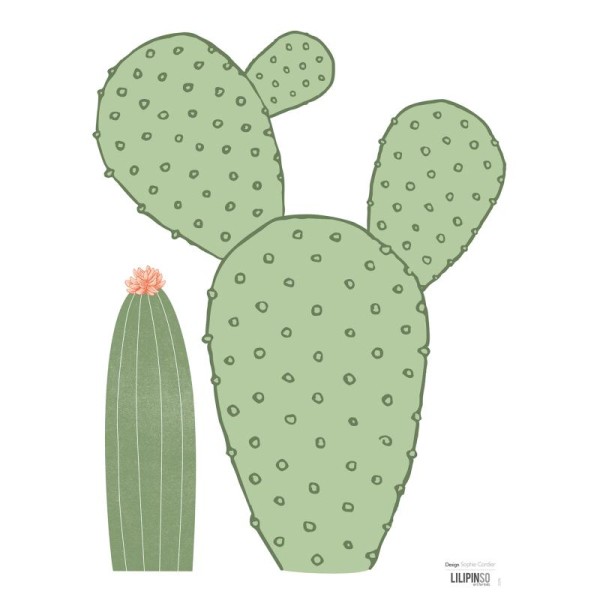 Stickers 2 cactus - Photo n°1