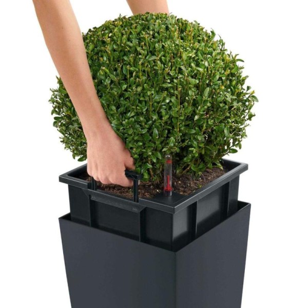 Lechuza Jardinière Cubico Color 30 All-in-one Ardoise 13138 - Photo n°2