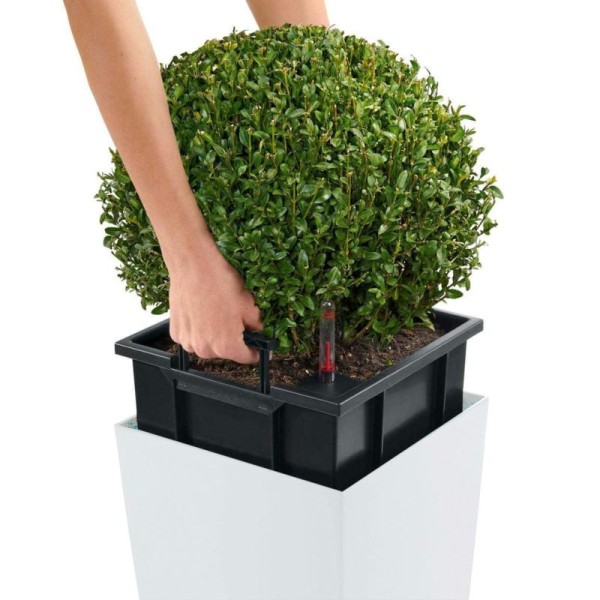 Lechuza Jardinière Cubico Color 40 All-in-one Blanc 13150 - Photo n°2