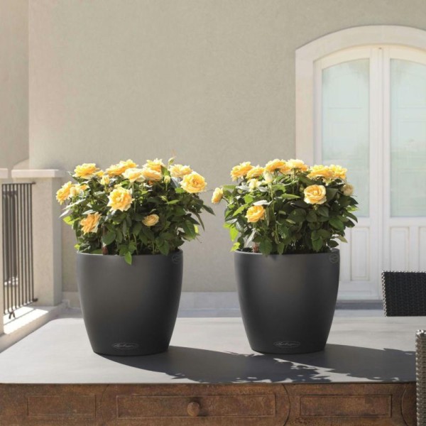 Lechuza Jardinière Classico Color 28 All-in-one Ardoise 13204 - Photo n°4