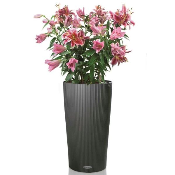 Lechuza Jardinière Cilindro Color 32 All-in-one Ardoise 13953 - Photo n°4
