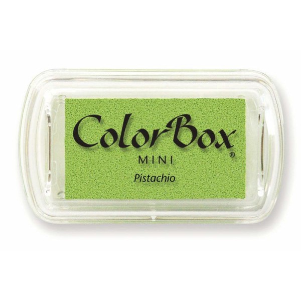Mini color box teinte pistache 6,5 x 3 cm séchage lent - Photo n°1