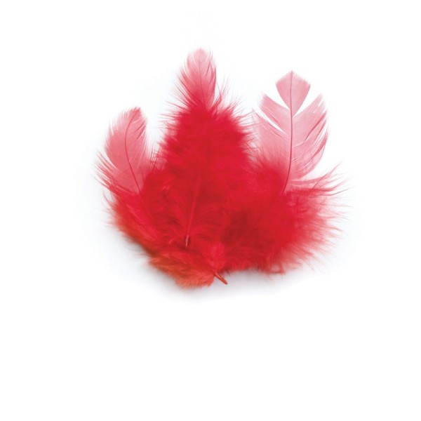 Sachet 3g plumes de coq rouge 10 cm - Photo n°1