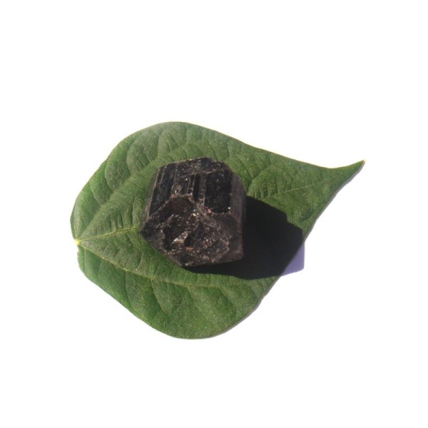 Pierre brute Tourmaline Noire du Brésil 3.2 CM x 3.5 CM de diamètre max - Photo n°1