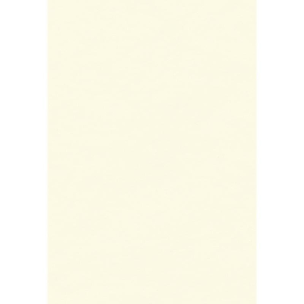 Creativ Company Papier de soie 50 x 70 cm, 25 feuilles, or