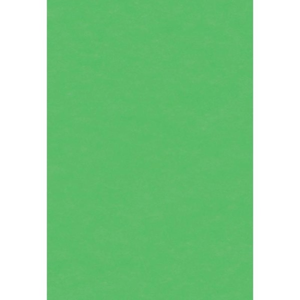 Papier de soie Vert prairie x 8 feuilles 50 x 75 cm - Photo n°1