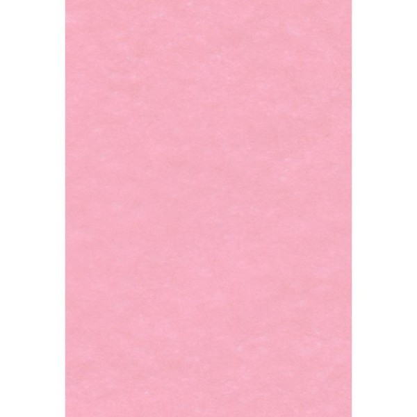 Papier de soie Rose x 8 feuilles 50 x 75 cm - Photo n°1